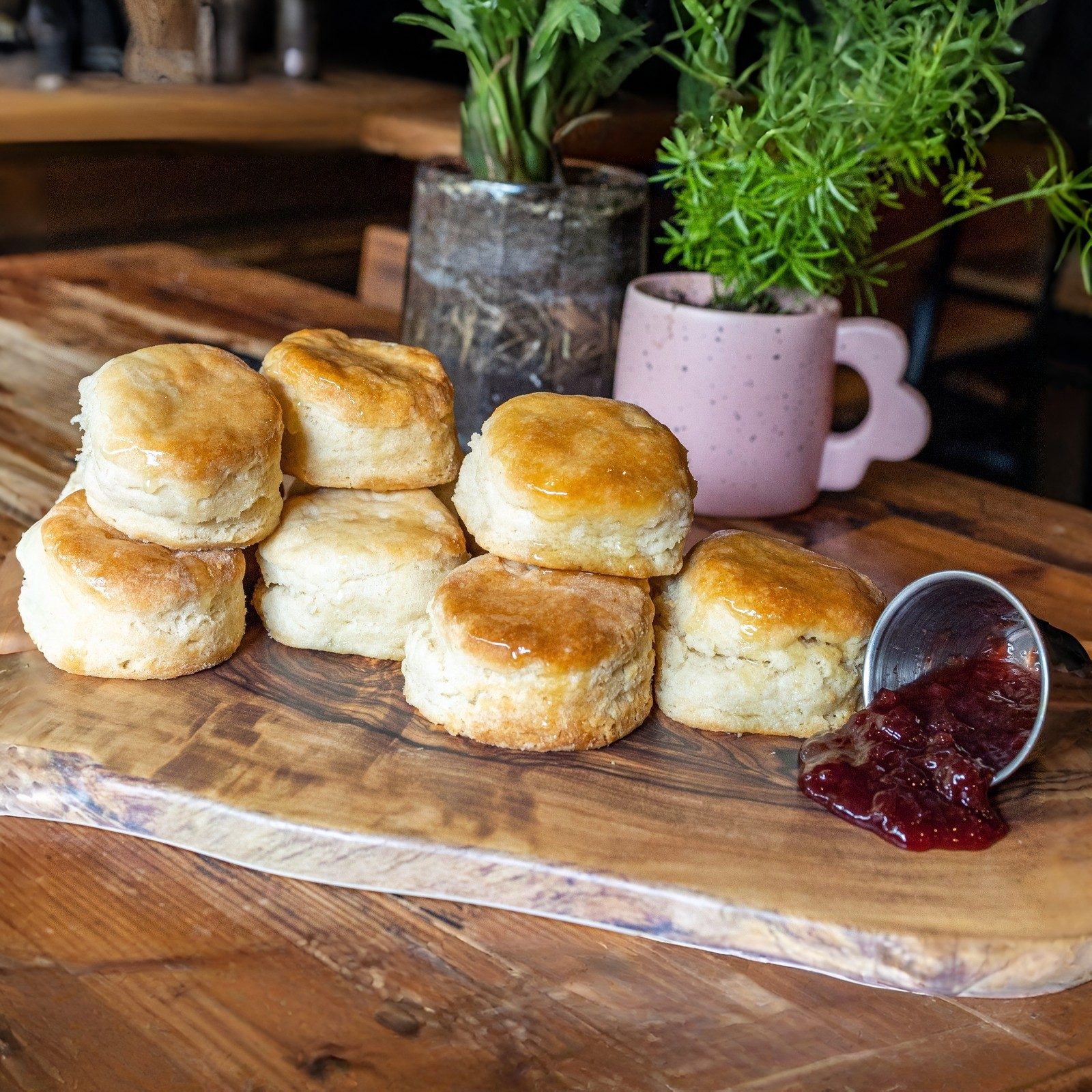 Biscuit - Side.
